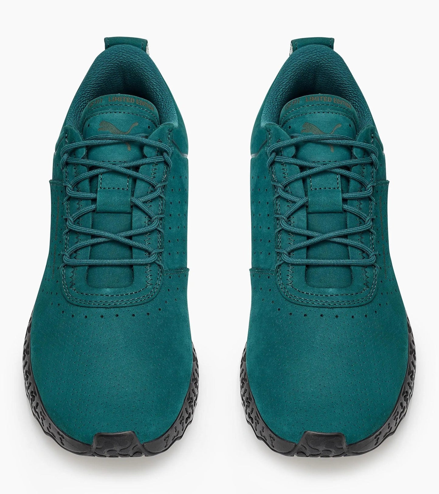 XETIC N Trainer