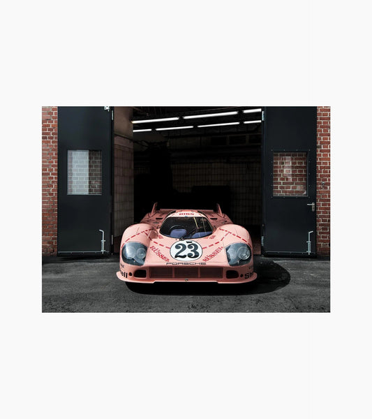 Poster set | 917 Pink Pig